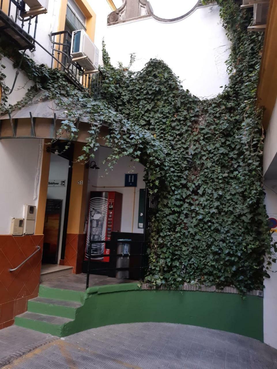 Hostal Alcobia Hotel Seville Exterior photo